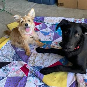 Meet your Posher, Brianna